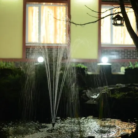 Ялинка Готель 3* Vyshkiv