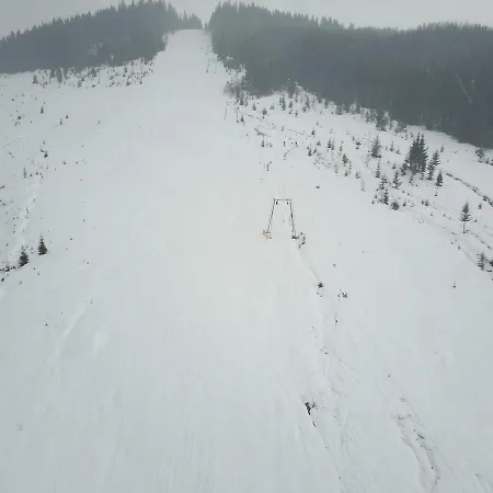 Ялинка Готель 3* Viskiv