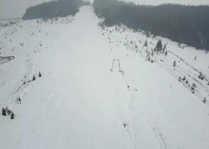 Ялинка Готель 3* Vyshkiv